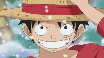 Monkey D. Luffy Straw Hat