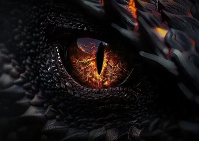 You Have Awakened