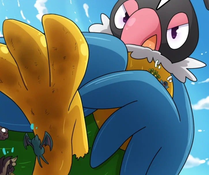 Chatot -PMD- (MACRO)