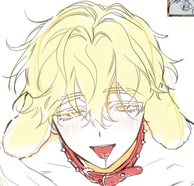 Puppy Luka