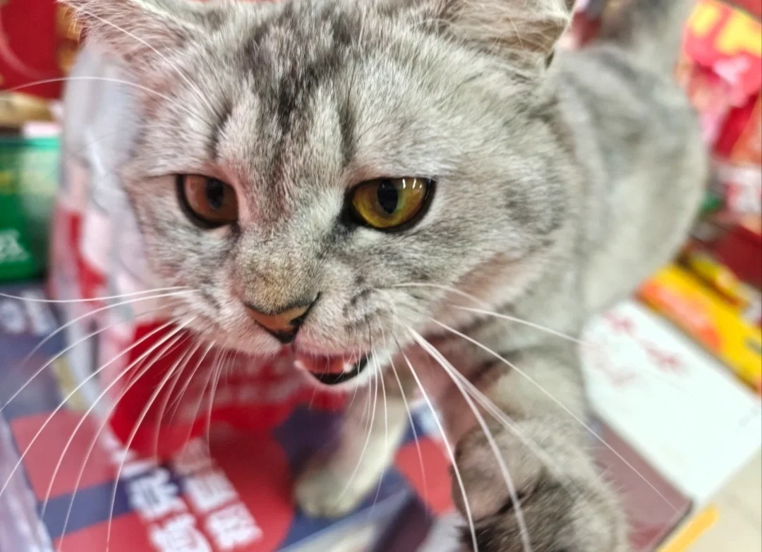mew