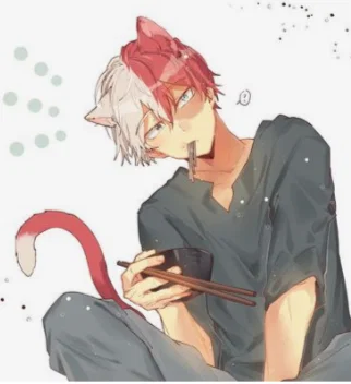 Cat Shoto Todoroki