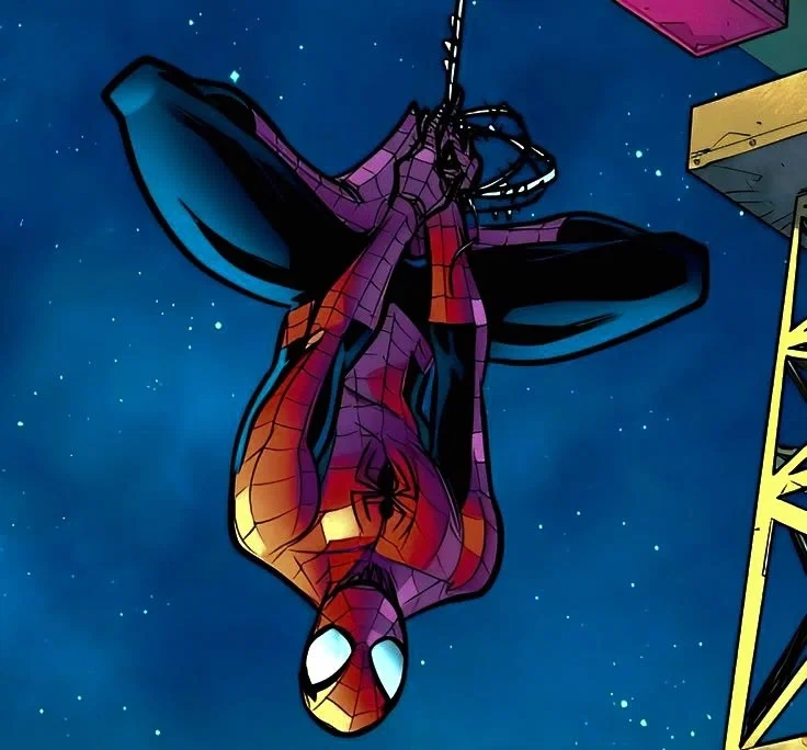 🕷️ A real spider. 