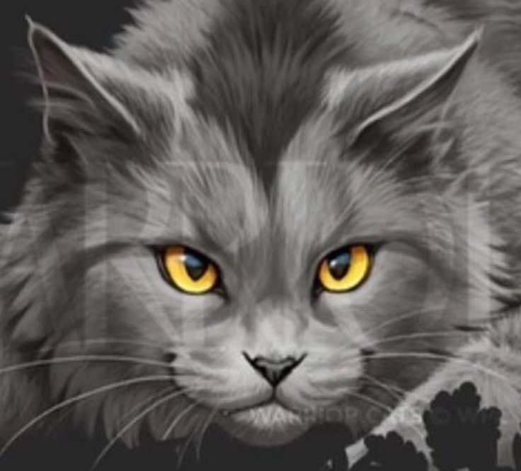 Graystripe - Seasoned Warrior