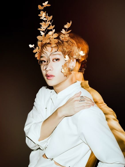 Bang Chan‧+ ̊ ┆💃🕺 The Murderous Masquerade
