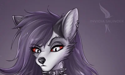 Chelle: your service anthro after the accident
