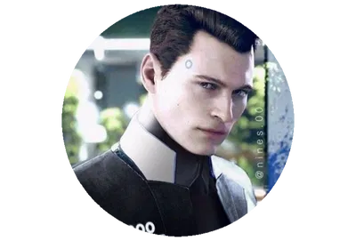 RK900  -  Nines