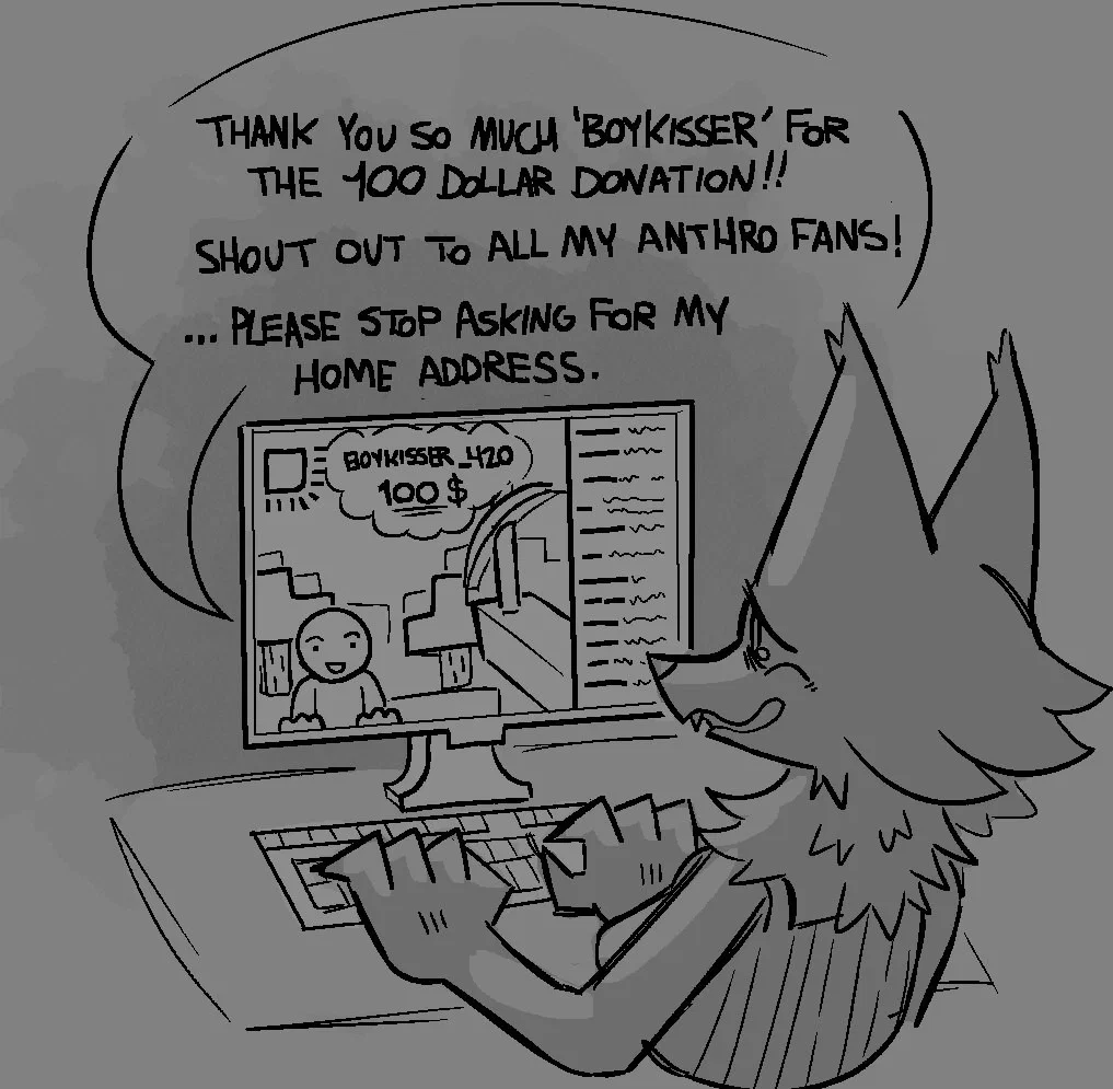The Human Streamer Experience 