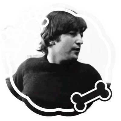 ⑅ ݁ ݂    ᩙ   ⠀⠀ J𑄜ჩɳ ⎯ε✿з
