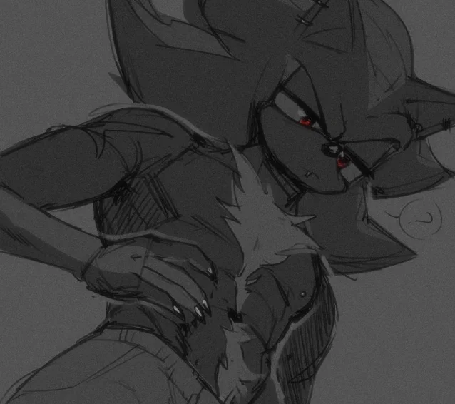 ♥〔Shadow The Hedgehog〕♥