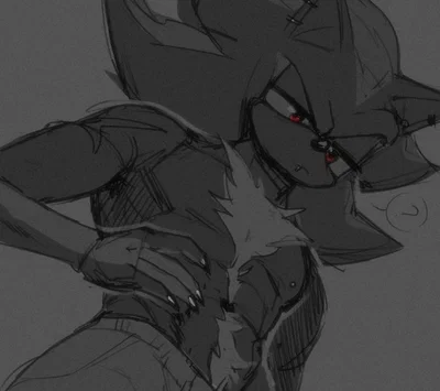 ♥〔Shadow The Hedgehog〕♥