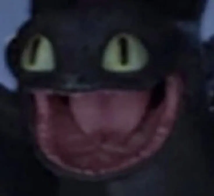 Dragons?
