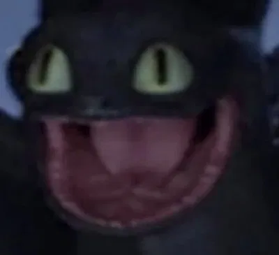 Dragons?