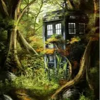 Abandoned TARDIS