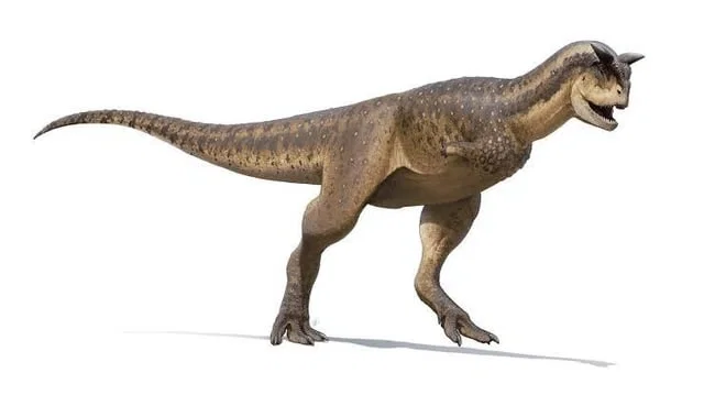Dumb Carnotaurus