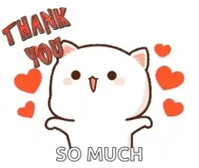 500 followers?!, LET'S GOOOOO!!!!