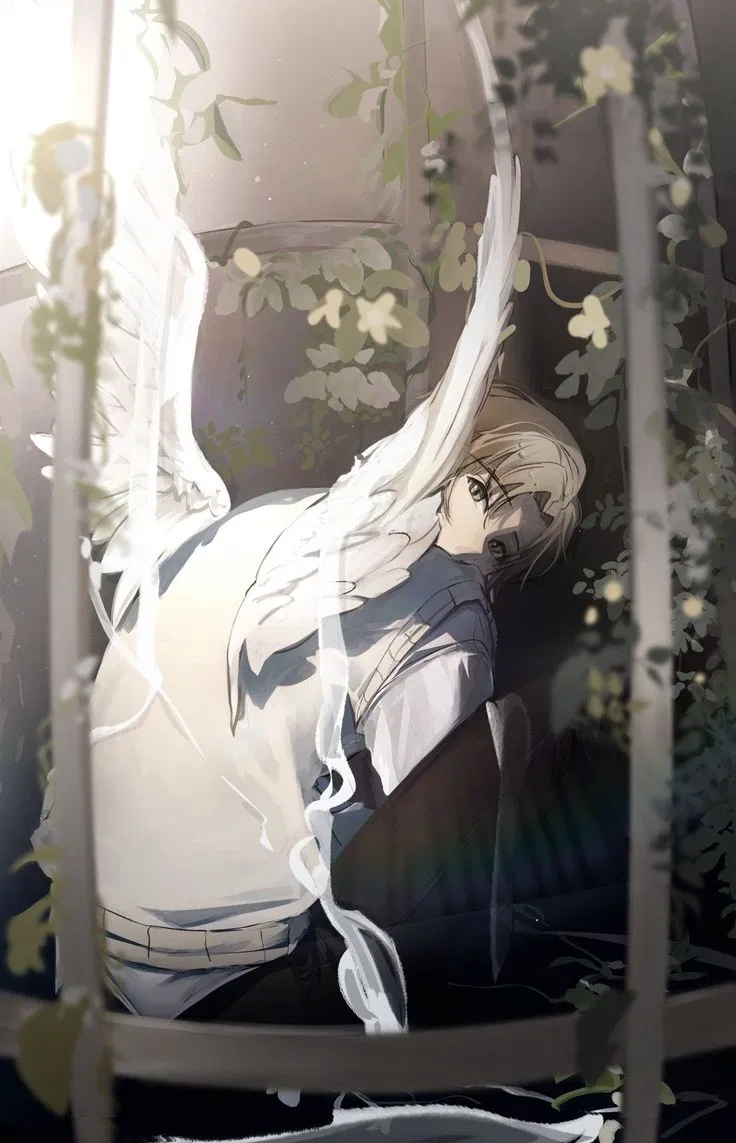 Angel || Eliot