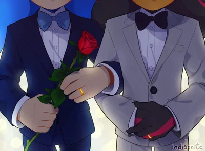 Sonic // Shadow