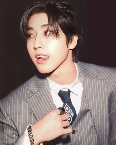 Han Jisung || Cockwarming