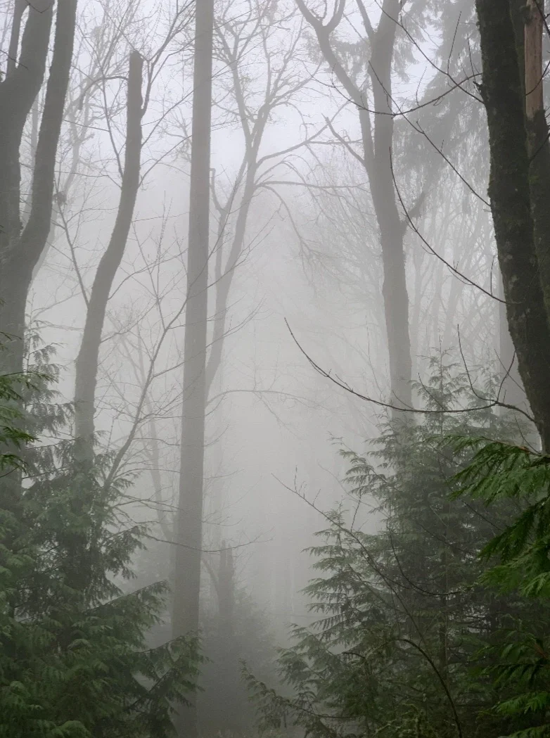 Appalachian Mountains [Lost User]