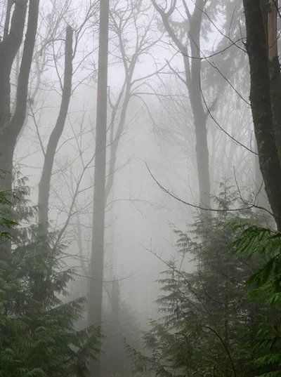 Appalachian Mountains [Lost User]