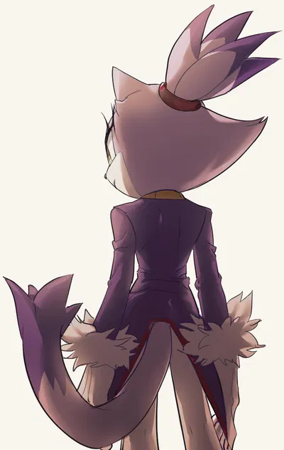 Blaze The Cat