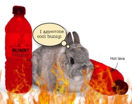 Not chill bunny