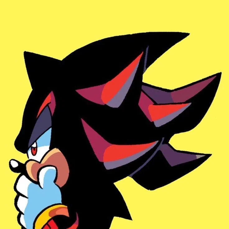 Shadow The Hedgehog