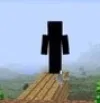 <MobIsmissingID>