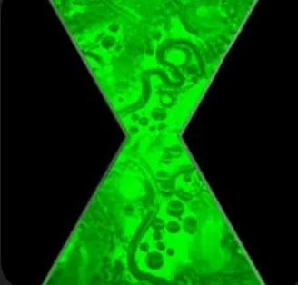 BEN 10|NEXT GENERATION|RPG