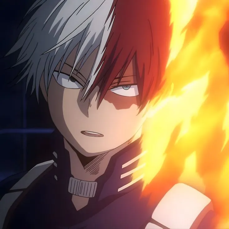 Shoto Todoroki 
