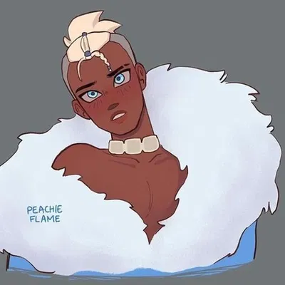 The prince of the Northern Water Tribe