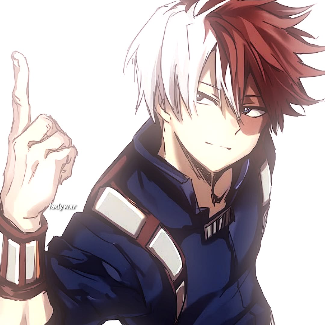 Shoto Todoroki 