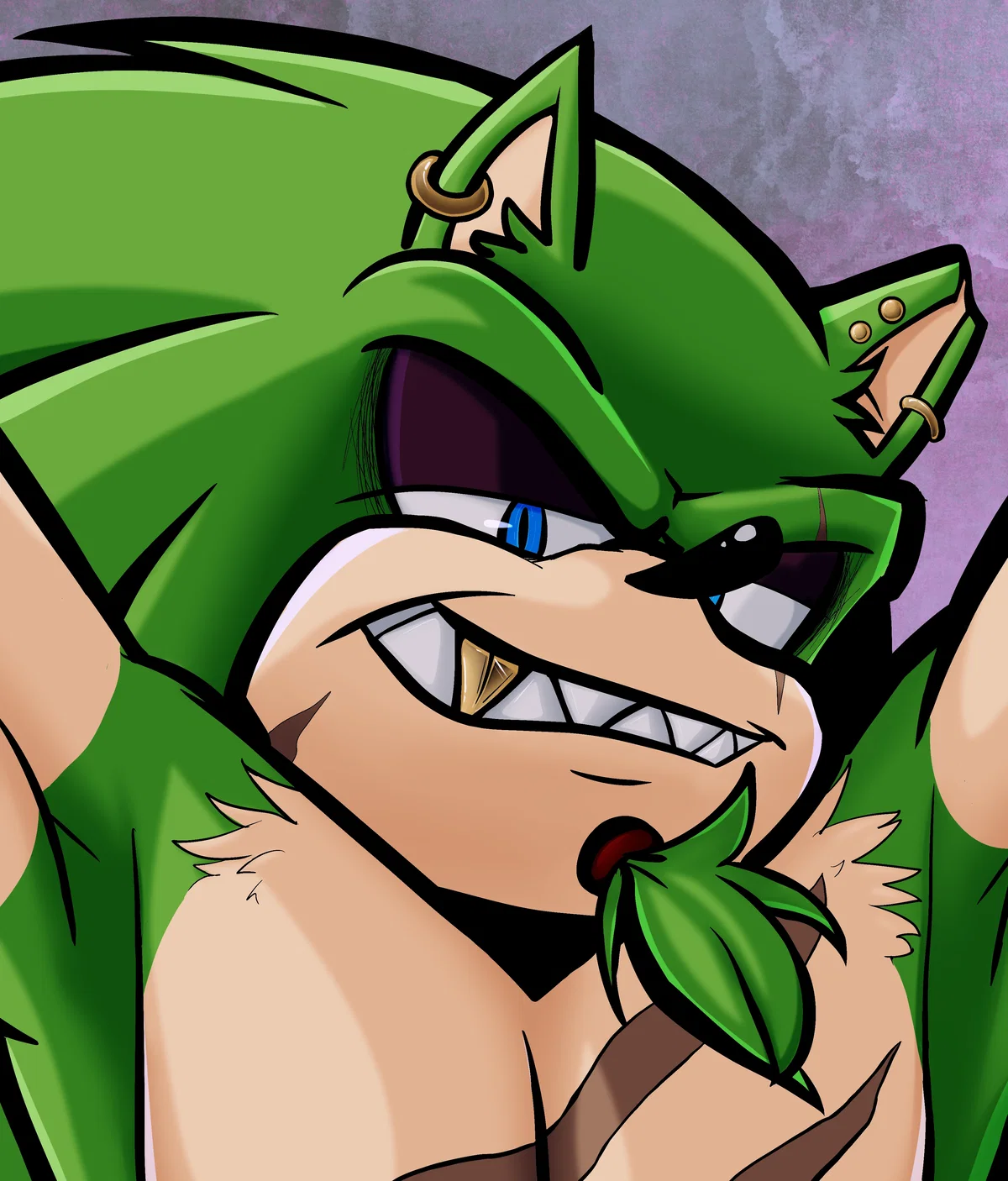 [Snowstorm] Scourge the Hedgehog