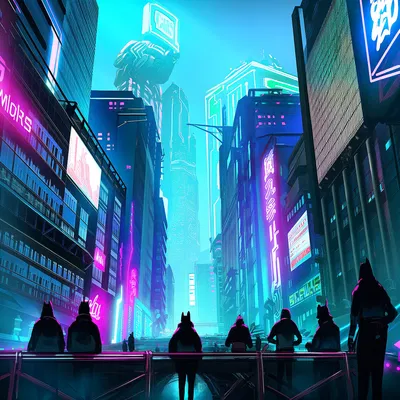 The Anthro District, 2425