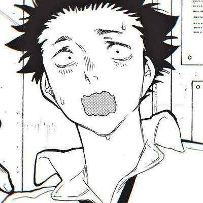 Shoya Ishida