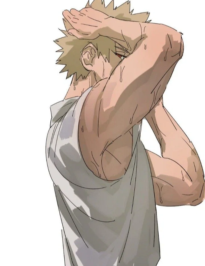 Katsuki Bakugo ☆|HATE?|☆