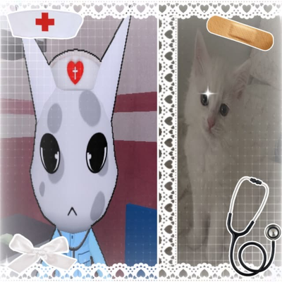 HEAD NURSE -ANIMAL HOSPITAL-