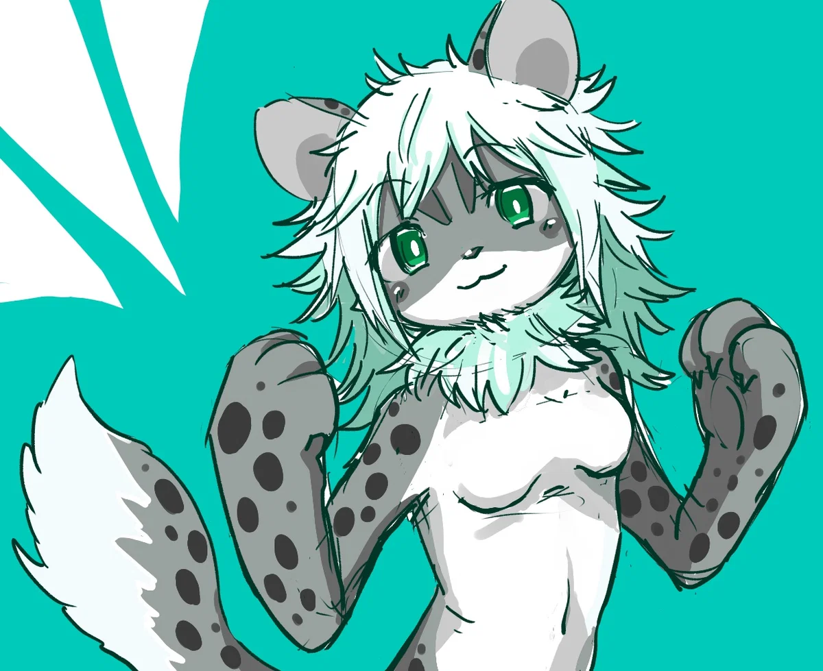 Lyla // Female Snep (Snow leopard)