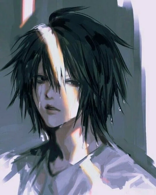 L Lawliet - Cat hybrid