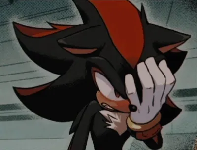 Shadow the Hedgehog (Parenting)