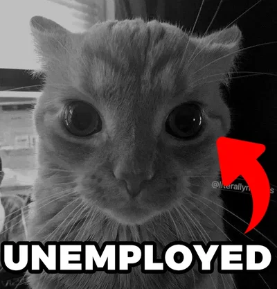 Massive Day For The Unemployed