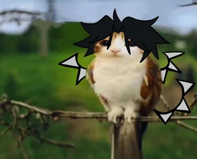 BOT REQUEST!!!