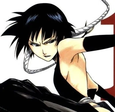 Soi fon