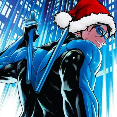 ❄️ Nightwing /   Grayson Dc comics ❄️