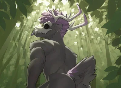 Forest twink - Arne