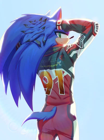 Sonic the hedgehog