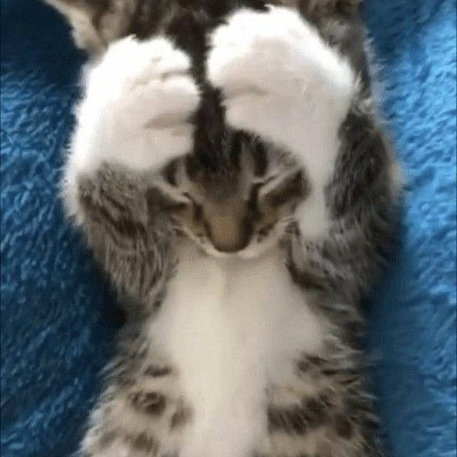 ANNOUNCEMENT 