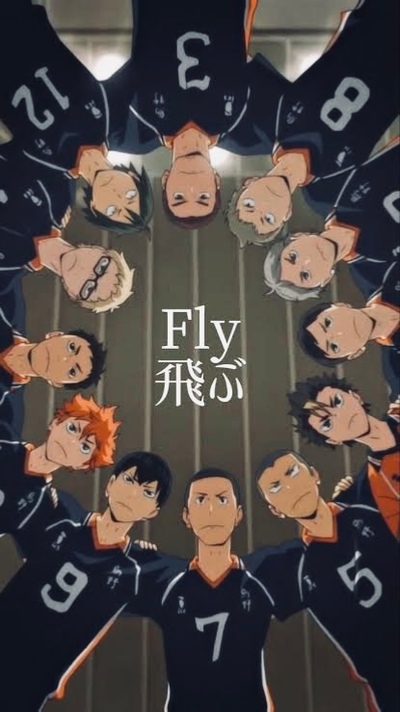 KARASUNO gc/haikyuu gc.pt1/pt4