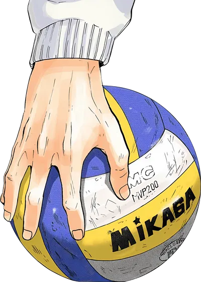 Haikyu!! RPG - Next Year